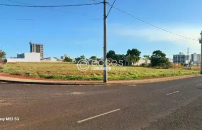 Terreno para aluguel, portal do vale - uberlândia/mg