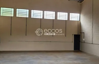 Barracão para aluguel, 1 quarto, dona zulmira - uberlândia/mg