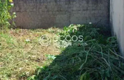 Terreno à venda, presidente roosevelt - uberlândia/mg