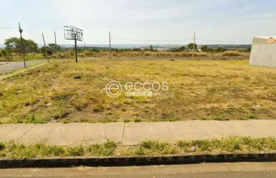 Terreno à venda na Rua Tarcila do Amaral, --, New Golden Ville, Uberlândia