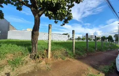 Terreno à venda na Avenida Francisco Ribeiro, --, Santa Mônica, Uberlândia