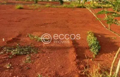 Terreno à venda na Rua João Cabral De Melo Neto, --, Novo Mundo, Uberlândia