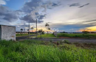 Terreno à venda na Rua Aquarela, --, Alto Umuarama, Uberlândia