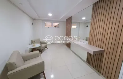 Apartamento à venda, 2 quartos, 1 suíte, 2 vagas, santa mônica - uberlândia/mg