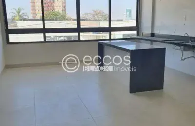 Apartamento à venda, 3 quartos, 1 suíte, 2 vagas, brasil - uberlândia/mg