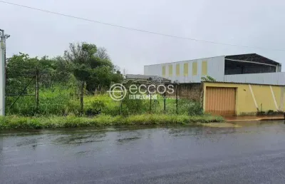 Terreno à venda na Rua Lourdes de Carvalho, --, Santa Mônica, Uberlândia