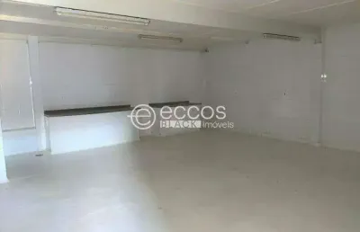 Barracão / Galpão / Depósito à venda na Avenida Luiz Fernando Quirino, --, Jardim Botânico, Uberlândia
