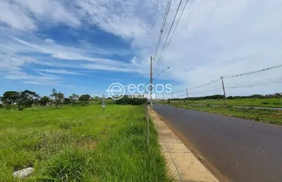 Terreno à venda na Avenida Rui de Castro Santos, --, Custódio Pereira, Uberlândia