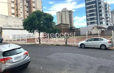Terreno à venda na Rua Bueno Brandão, --, Osvaldo Rezende, Uberlândia