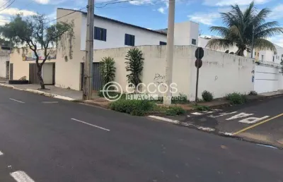 Terreno à venda na Rua Olegário Maciel, --, Vigilato Pereira, Uberlândia