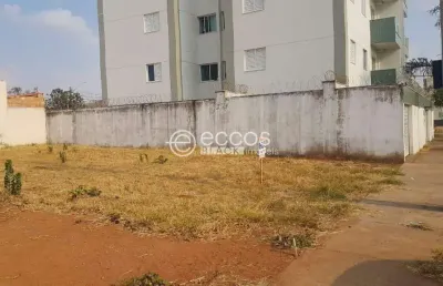 Terreno à venda, bosque dos buritis - uberlândia/mg