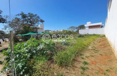 Terreno à venda na Rua Caracuri, --, Jardim Karaíba, Uberlândia