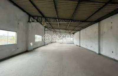 Barracão / Galpão / Depósito para alugar na Avenida Aldo Borges Leão, --, Jardim Canaã, Uberlândia