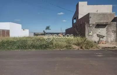Terreno à venda na Rua Maria Do Rosário Gonçalves De Oliveira, --, Jardim Milenium, Araguari
