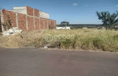 Terreno à venda na Rua Vilazito Gonçalves, --, Jardim Milenium, Araguari