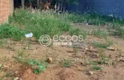 Terreno à venda na Rua Ana Batista, --, Vieno, Araguari