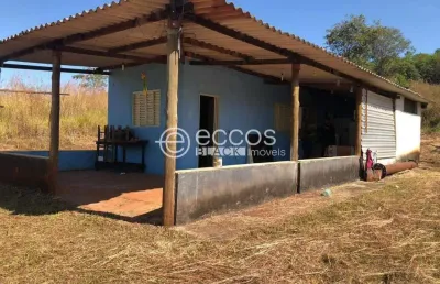Chácara à venda, área rural de uberlândia - uberlândia/mg