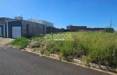 Terreno à venda na Rua Estácio de Sá, --, Miranda, Araguari