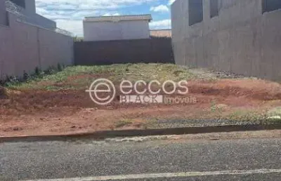 Terreno à venda na Rua Hermogênio Dorázio, --, Interlagos, Araguari