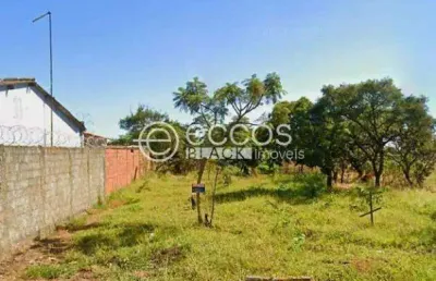 Terreno à venda na Rua dos Jequitibás, --, São Sebastião, Araguari