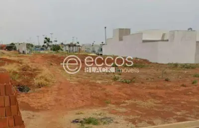 Terreno à venda na Rua José Damásio Júnior Ribeiro, --, Aclimação, Uberlândia