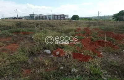 Terreno à venda na Rua Walter Marques, --, Sibipiruna, Araguari