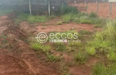Terreno à venda na Rua Antônio Pereira Neto, --, Jardim Milenium, Araguari