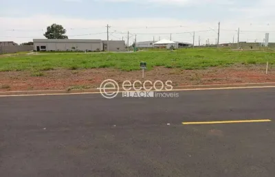 Terreno em condomínio à venda, paineiras - araguari/mg