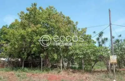 Chácara à venda, 3 quartos, parque das andorinhas - uberlândia/mg