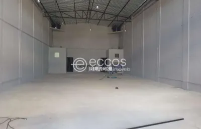 Galpão à venda, 4 vagas, jardim holanda - uberlândia/mg