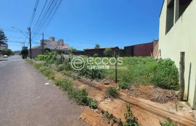 Terreno à venda na Rua Antônio Marciano de Ávila, --, Santa Mônica, Uberlândia