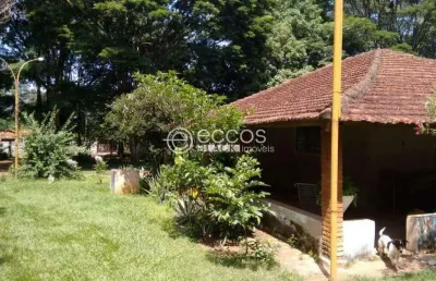 Chácara / sítio à venda na Rua Espatódia, --, Panorama, Uberlândia