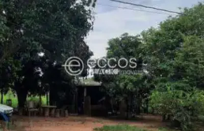 Chácara à venda, 4 quartos, área rural de uberlândia - uberlândia/mg