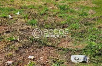 Terreno em condomínio à venda, alto umuarama - uberlândia/mg