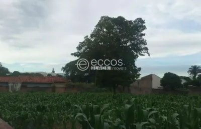 Terreno à venda na Rua Jornalista João Lourenço, --, Centro, Araguari
