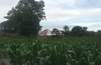 Terreno comercial para alugar na Rua Jornalista João Lourenço, --, Centro, Araguari