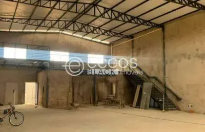 Barracão / Galpão / Depósito para alugar na Avenida Segismundo Pereira, --, Novo Mundo, Uberlândia