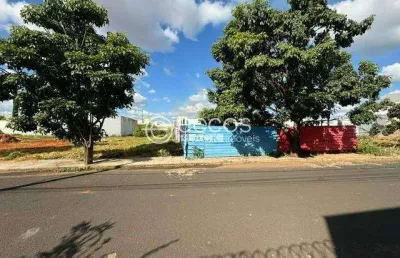 Terreno à venda na Rua Dinarte José Pereira, --, Novo Mundo, Uberlândia