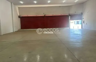 Barracão / Galpão / Depósito para alugar na Avenida Comissão Crulls, --, Brasília, Araguari