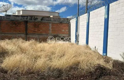 Imóvel comercial para aluguel, centro - araguari/mg