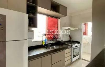 Apartamento à venda, 2 quartos, 1 suíte, 2 vagas, novo mundo - uberlândia/mg