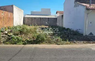 Terreno à venda na Rua Sonilda Costa Ribeiro, --, Brasília, Araguari