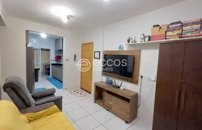 Apartamento à venda, 2 quartos, 1 vaga, novo mundo - uberlândia/mg