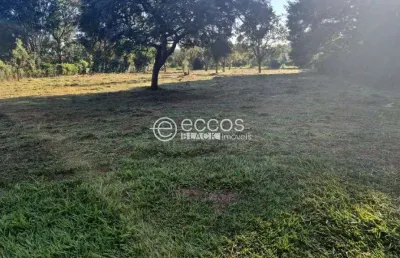 Terreno à venda na Rua Bauhínia, --, Morada do Sol, Uberlândia