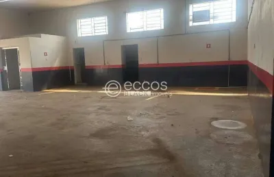Barracão / Galpão / Depósito para alugar na Rua Marcílio Dias, --, Jardim Regina, Araguari