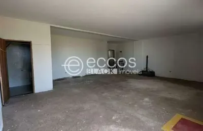 Imóvel comercial à venda, 2 vagas, novo mundo - uberlândia/mg