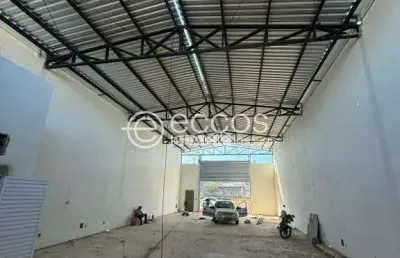 Barracão / Galpão / Depósito à venda na Alameda Jardim Holanda, --, Jardim Holanda, Uberlândia