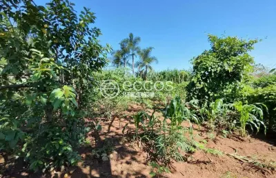 Chácara à venda, 2 quartos, morada nova - uberlândia/mg