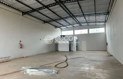 Barracão / Galpão / Depósito para alugar na Avenida Manuel Lucio, 255, Grand Ville, Uberlândia