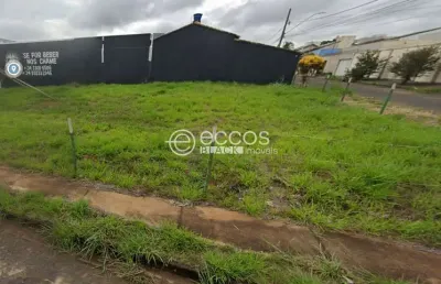 Terreno para aluguel, alto umuarama - uberlândia/mg